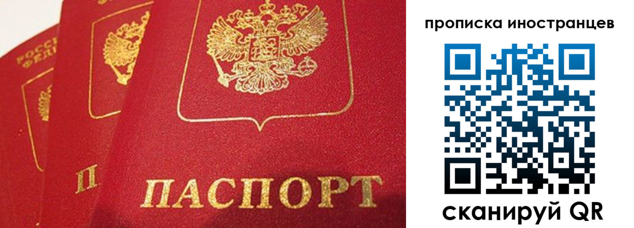 прописка поиск в Опочке
